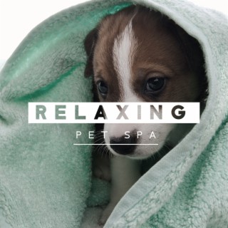Relaxing Pet Spa. Healing New Age Music that Helps to Calm Down