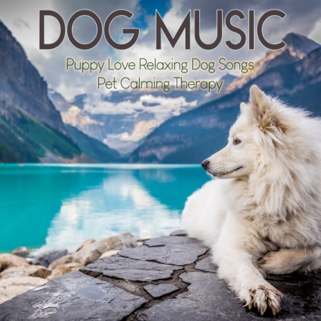 Sweet Paws ft. Relaxmydog & Dog Music Therapy | Boomplay Music