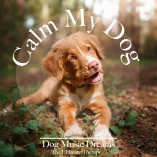 Calm My Dog: Dog Music Dreams - The Ultimate Therapy