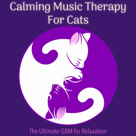 Sleeping Baby ft. Cat Music Dreams & Cat Music Therapy | Boomplay Music