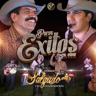 Puros éxitos en vivo (En vivo)