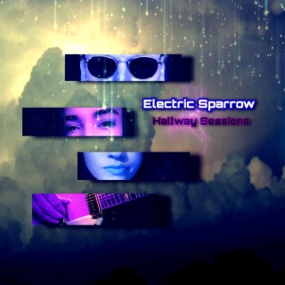 Electric Sparrow