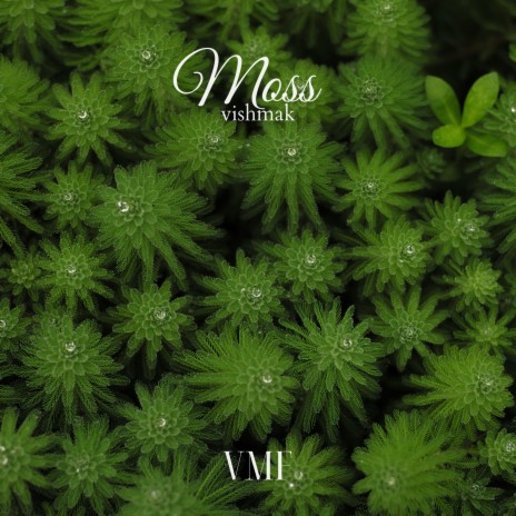 Moss | Boomplay Music