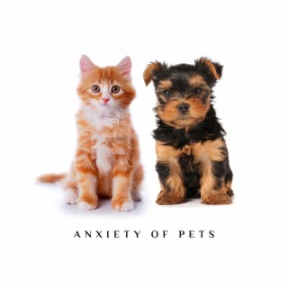 Anxiety of Pets: Relax and Deep Sleeping For Dogs and Cats