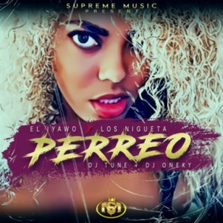 Perreo (feat. los niguetas)