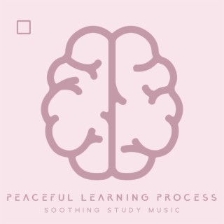 Peaceful Learning Process: Soothing Study Music - Memory Improvement, Deep Concentration, Progress