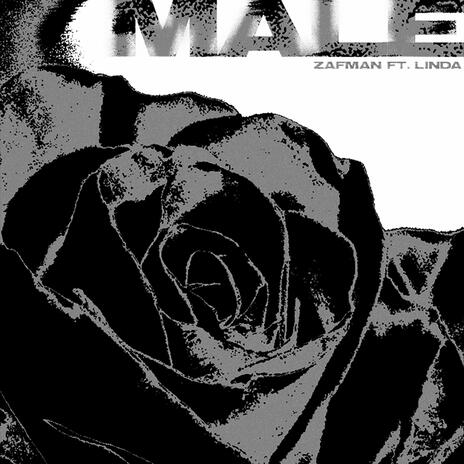 MALE ft. Yøda | Boomplay Music