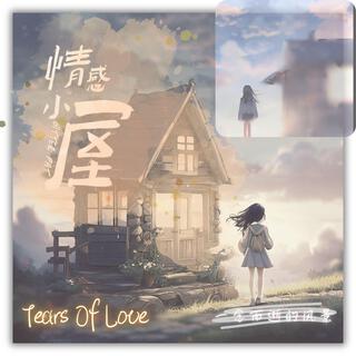 一念而逝的风景 (Tears Of Love)