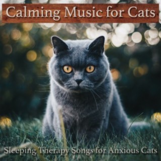 Calming Music for Cats: Sleeping Therapy Songs for Anxious Cats