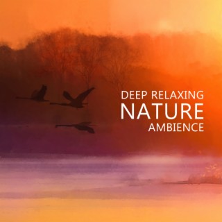 Deep Relaxing Nature Ambience - Relaxing River Sounds, Gentle Ocean Waves, Nature Sounds, Rain, Forest, Singing Birds Ambience (Music for Meditation & Sleep)