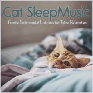 Cat Sleep Music: Gentle Instrumental Lullabies for Feline Relaxation