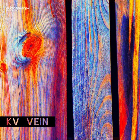 Vein | Boomplay Music