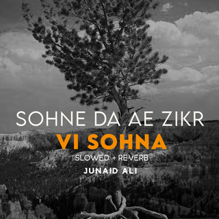 Sohne Da Ae Zikr Vi Sohna Lofi