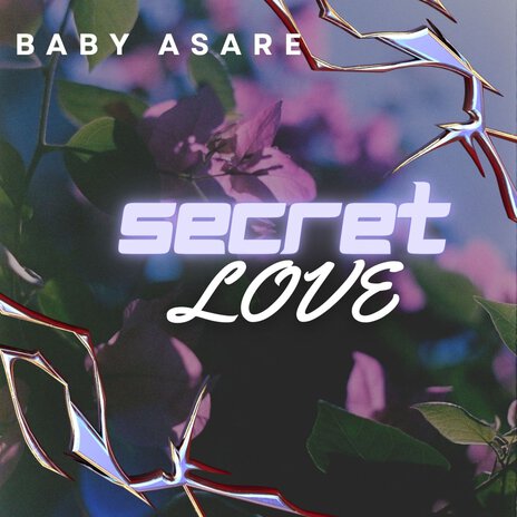 Secret Love | Boomplay Music