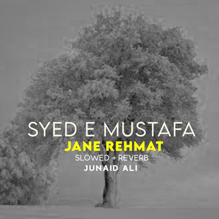 Syed e Mustafa Jane Rehmat Lofi