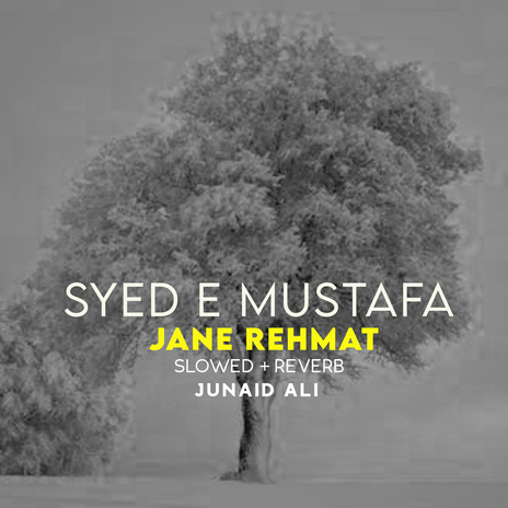 Syed e Mustafa Jane Rehmat Lofi | Boomplay Music