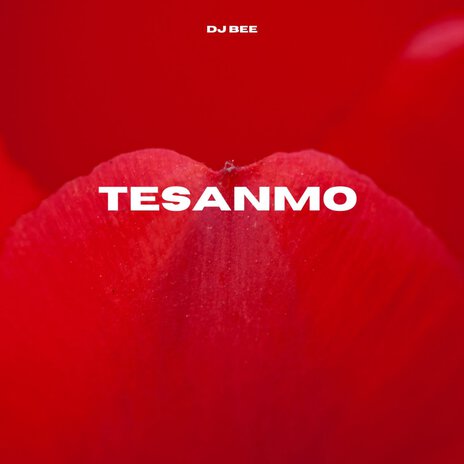 Tesanmo | Boomplay Music