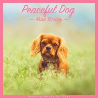 Peaceful Dog Music Therapy: Relaxing Sounds for Dogs