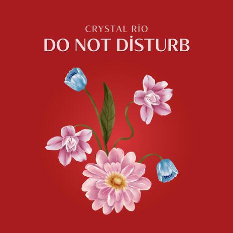 Do Not Disturb | Boomplay Music