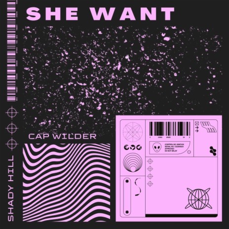 She Want ft. Shady Hill | Boomplay Music