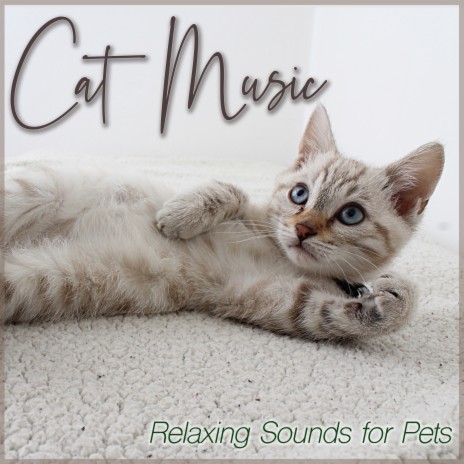 Peace and Paws ft. Cat Music Dreams & Cat Music Therapy