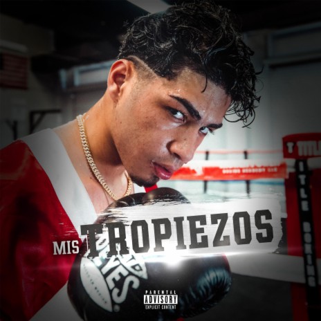 Mis Tropiezos | Boomplay Music