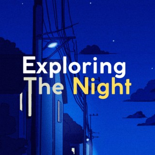 Exploring The Night