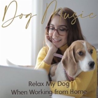 Dog Music: Relax My Dog When Working From Home