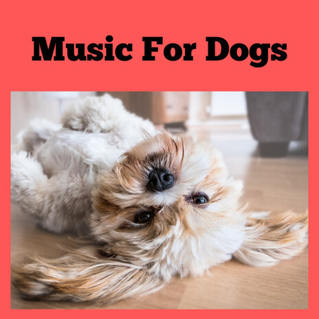 Snuggling Dog Music ft. Music For Dogs Peace, Relaxing Puppy Music & Calm Pets Music Academy | Boomplay Music