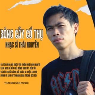 BÓNG CÂY CỔ THỤ lyrics | Boomplay Music