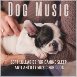 Dog Music: Soft Lullabies for Canine Sleep, Anti-Anxiety Music for Dogs