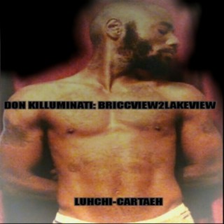 Don Killuminati: Briccview 2 Lakeview