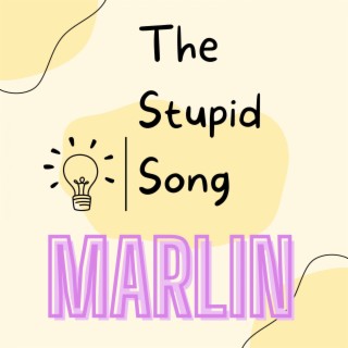 The Stupid Song