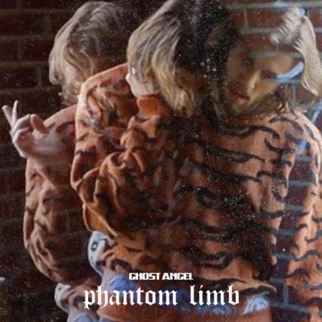 Phantom Limb | Boomplay Music