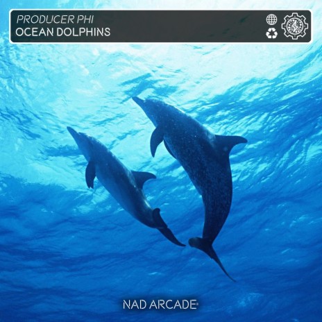 Ocean Dolphins | Boomplay Music