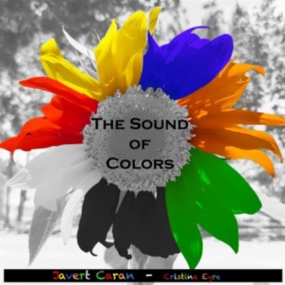 The Sound of Colors