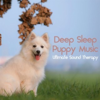 Deep Sleep Puppy Music: Ultimate Sound Therapy