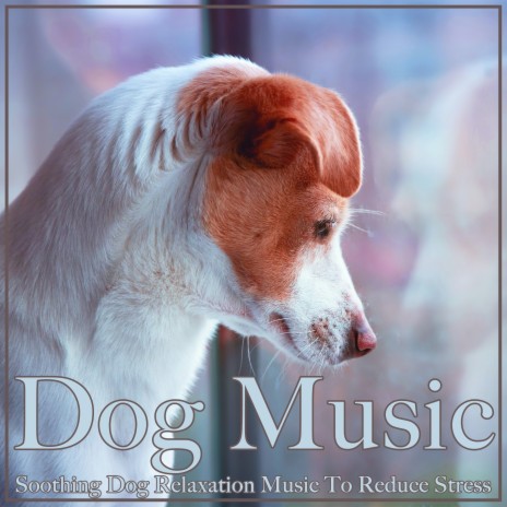 Doggy Dreaming ft. Dog Music & Dog Music Therapy | Boomplay Music