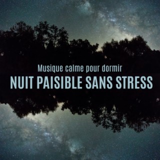 Musique calme pour dormir: Nuit paisible sans stress. Musicothérapie New Age pour la détente, La guérison et le bien-être