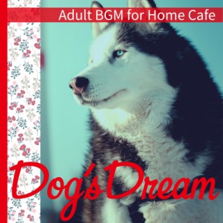 Adult BGM for Home Cafe