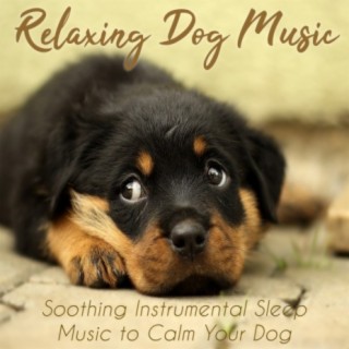 Relaxing Dog Music - Soothing Instrumental Sleep Music to Calm Your Dog