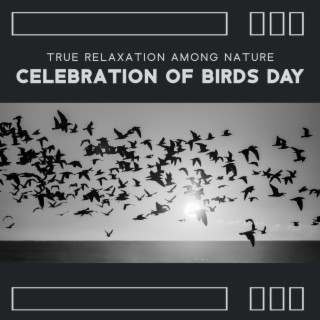 True Relaxation Among Nature - Celebration of Birds Day: Birds and Trees Chants, Nature Meditation, Blissful Relaxation in the Bosom of Nature