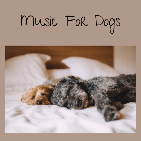 Zen Zzz's for Pups ft. Music For Dogs Peace, Relaxing Puppy Music & Calm Pets Music Academy | Boomplay Music