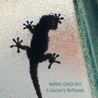 A Gecko's Reflexes