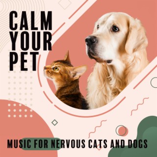 Calm Your Pet: Music for Nervous Cats and Dogs. Mix of Soothing Sounds