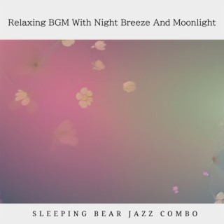 Relaxing BGM With Night Breeze And Moonlight