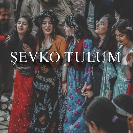 Şevko _ Tulum _ | Boomplay Music