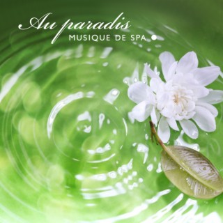 Au paradis: Musique de spa avec sons de la nature, Musique exotique, Sommeil profond, Nettoyer l'esprit, Tons de guérison