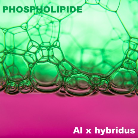 Phospholipide