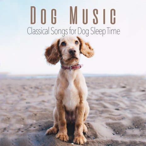 Snoopy Doggy Songs ft. Relaxmydog & Dog Music Therapy | Boomplay Music